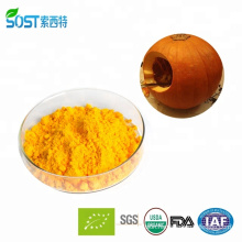 Food Additive Dried Fruit Powder Pumpkin Powder